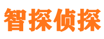 北湖寻人公司